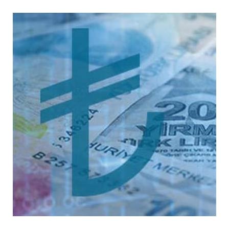 ÖZEL ÖDEME YÖNTEMİ